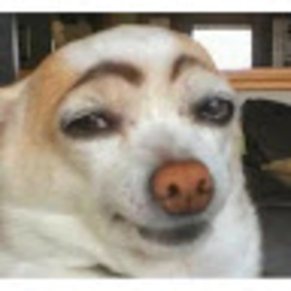 Meet your Posher, Morganne - Picture 1 of 1